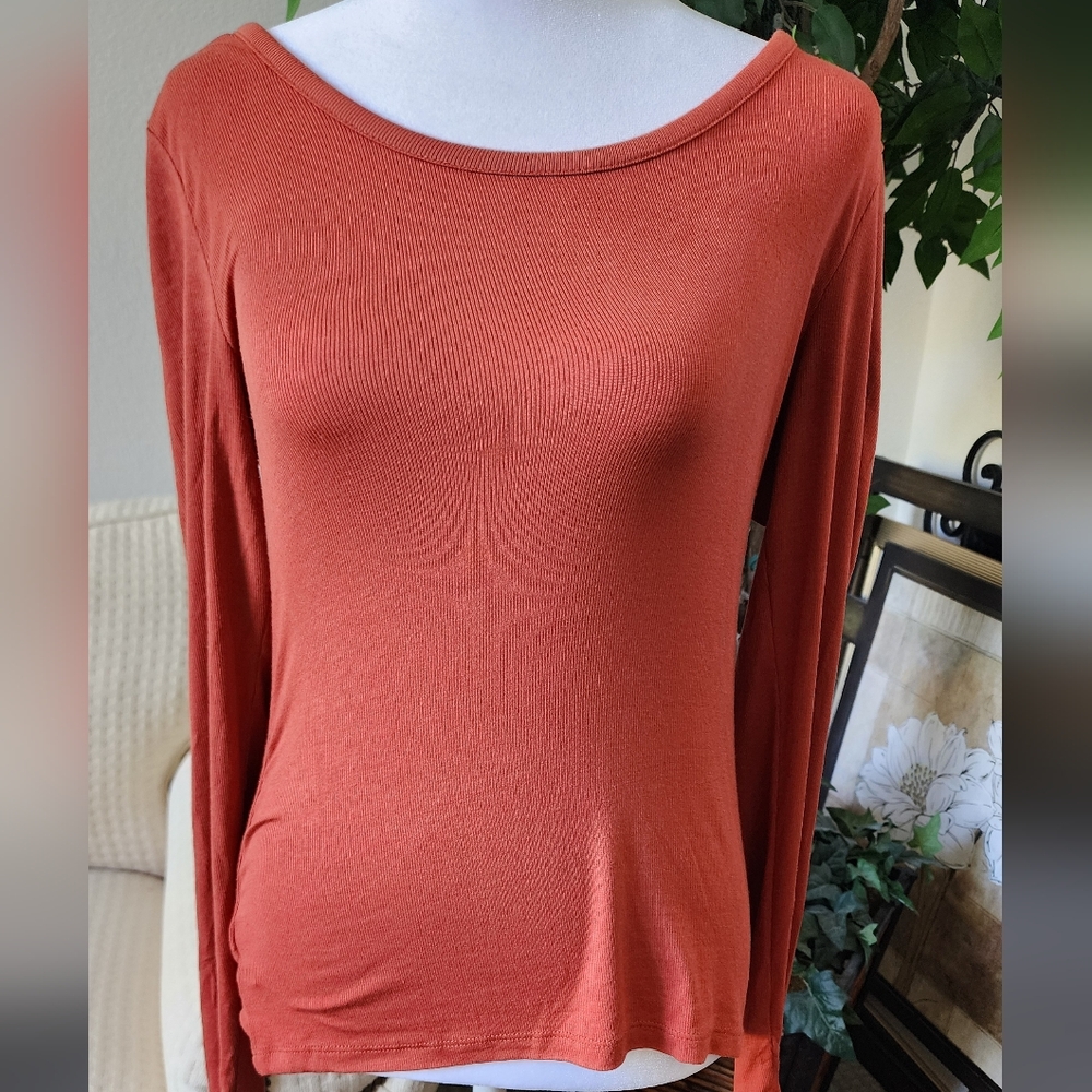 3 for $20 LOFT Rust Fitted Long Sleeve Blouse